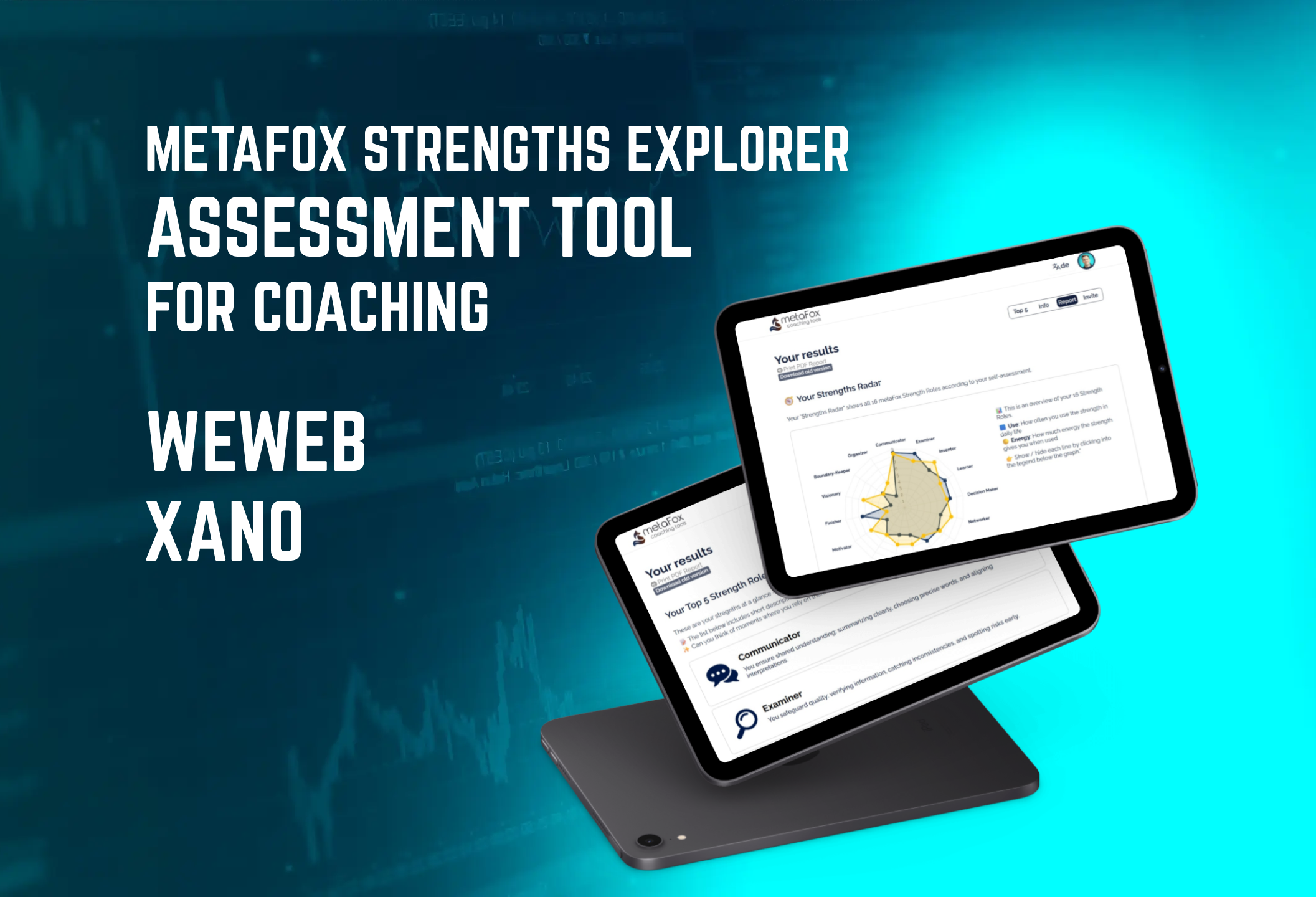 Скриншот MetaFox Strengths Explorer